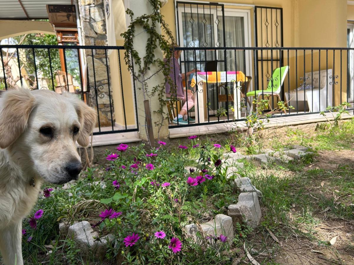 Hotel de apartamente Cileks Fethiye